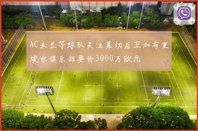 AC米兰等球队关注莱切后卫加布里埃尔俱乐部要价3000万欧元