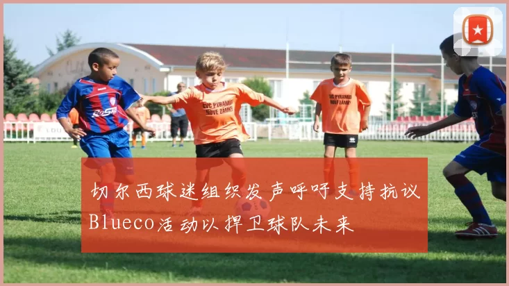 切尔西球迷组织发声呼吁支持抗议Blueco活动以捍卫球队未来